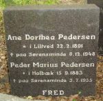 Ane Dorthea Pedersen  .jpg